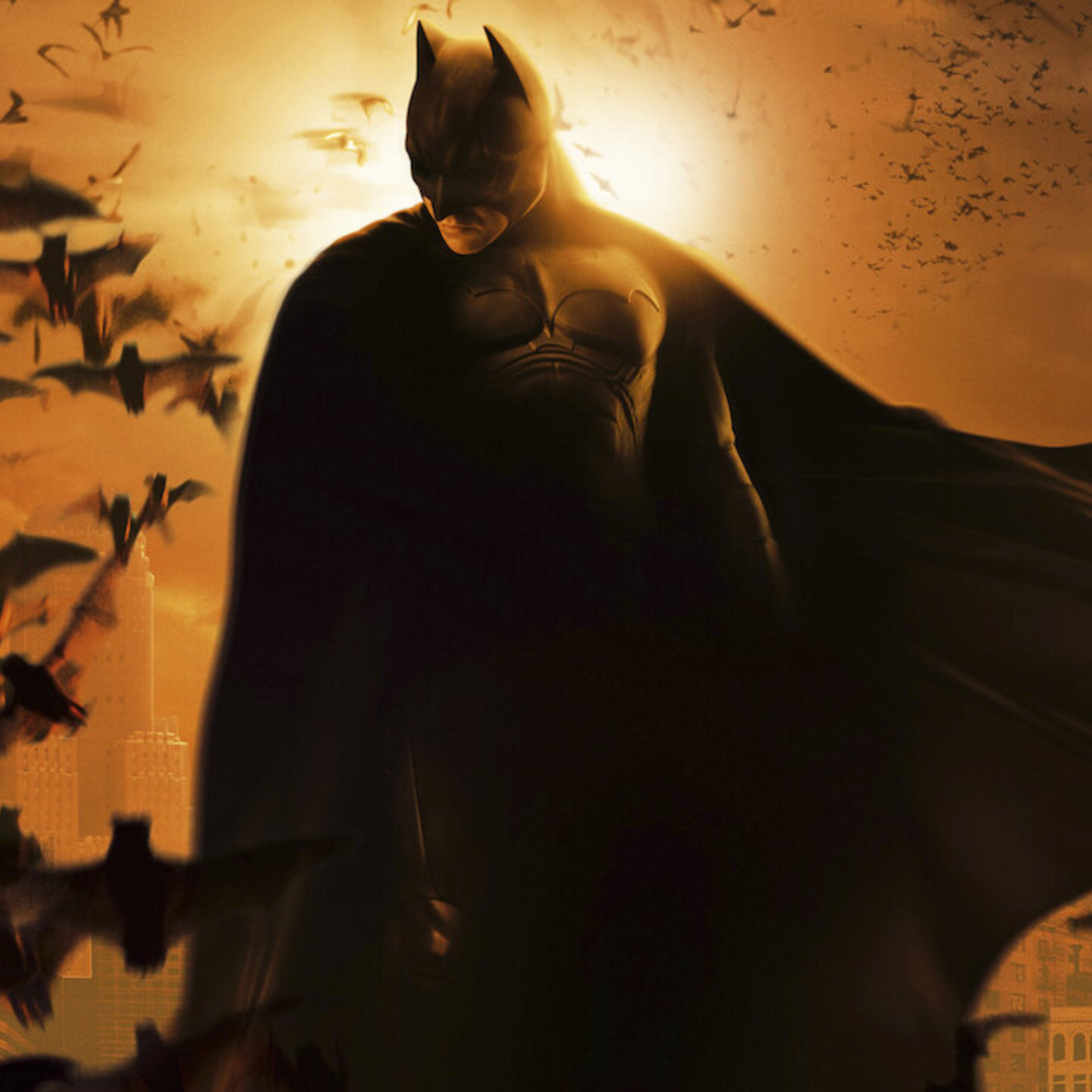 Batman Begins DC Multiverse