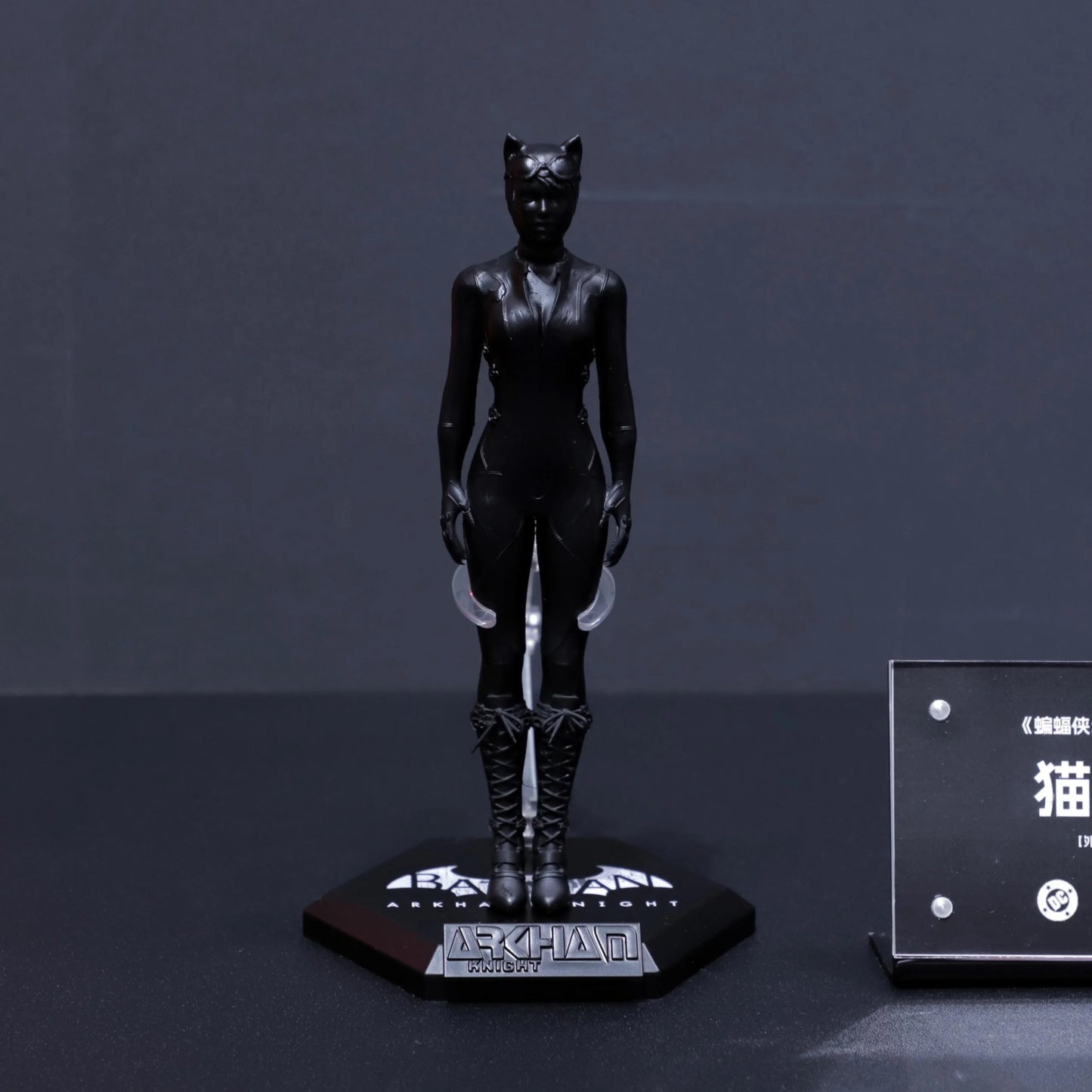 Catwoman Arkham Knight LPZZ