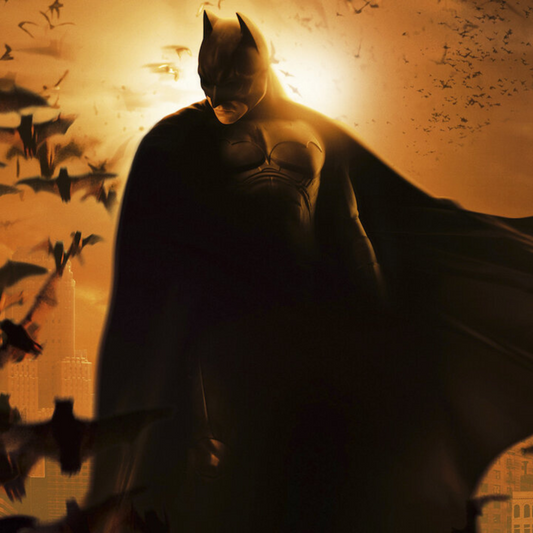 Batman Begins DC Multiverse