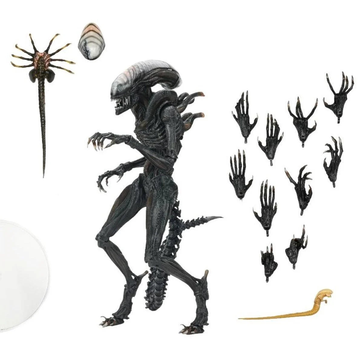 Alien: Romulus Ultimate Scorched Xenomorph