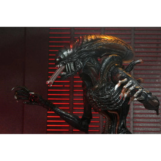 Alien: Romulus Ultimate Scorched Xenomorph
