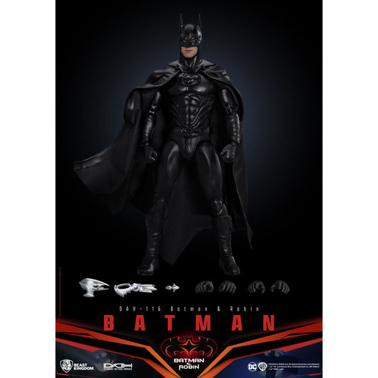 Batman and Robin DAH-116 Dynamic 8-Ction