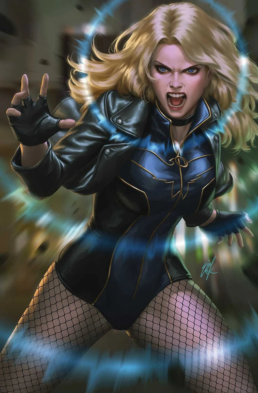 Black Canary Collector Edition