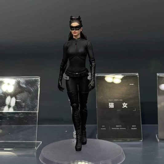 Catwoman Dark Knight InArt 1/12