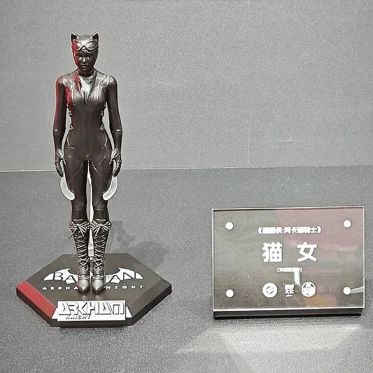 Catwoman Arkham Knight LPZZ